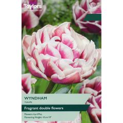 Tulip Wyndham