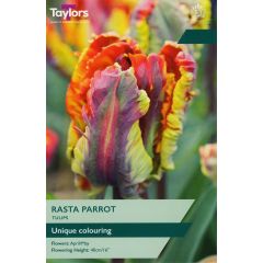 Tulip Rasta Parrot