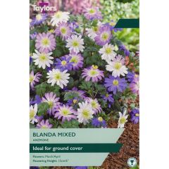 Anemone Blanda Mixed