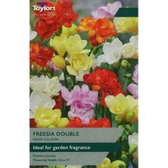 Freesia Mixed Double
