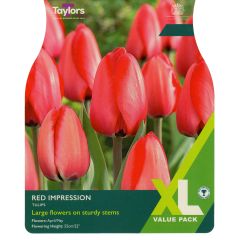 Tulip Red Impression "Bulb Of The Year" (XL Value Pack)