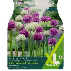 Allium Kings & Queens (XL Value Pack)