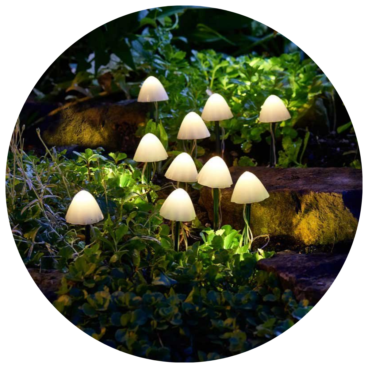 GARDEN LIGHTING