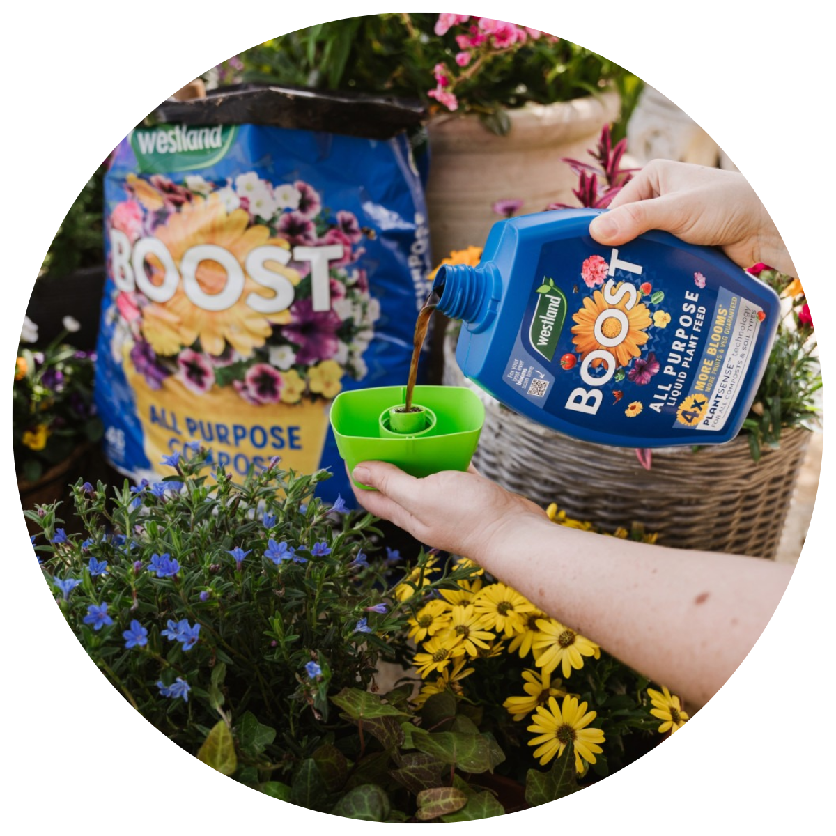 GROW YOUR OWN ESSENTIALS