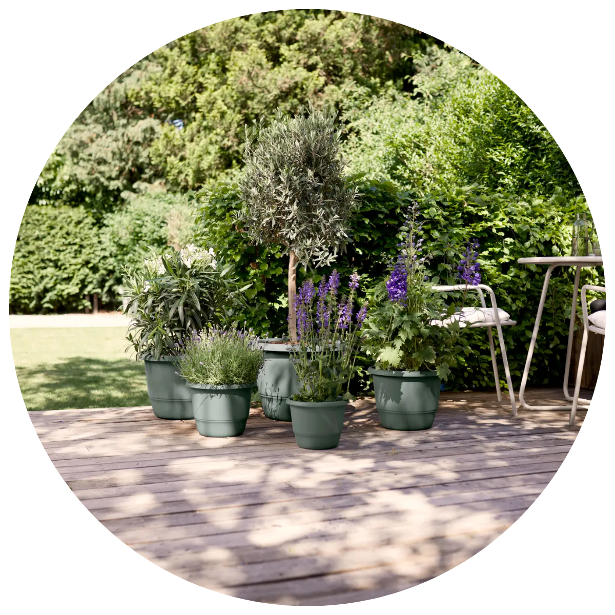 POTS & PLANTERS