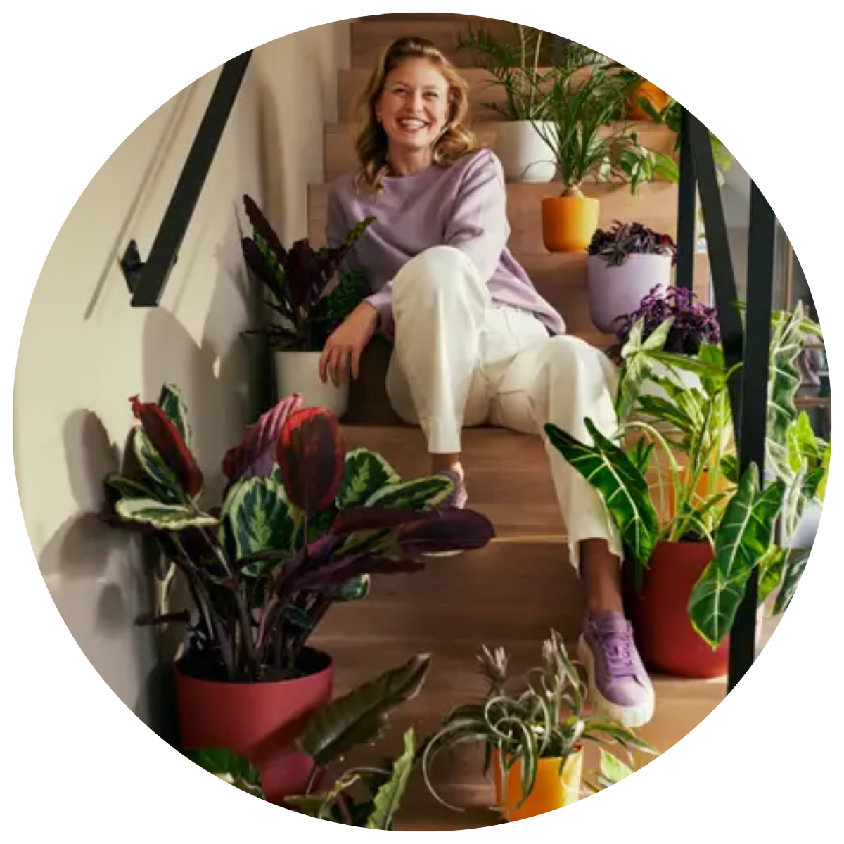 HOUSEPLANT CARE