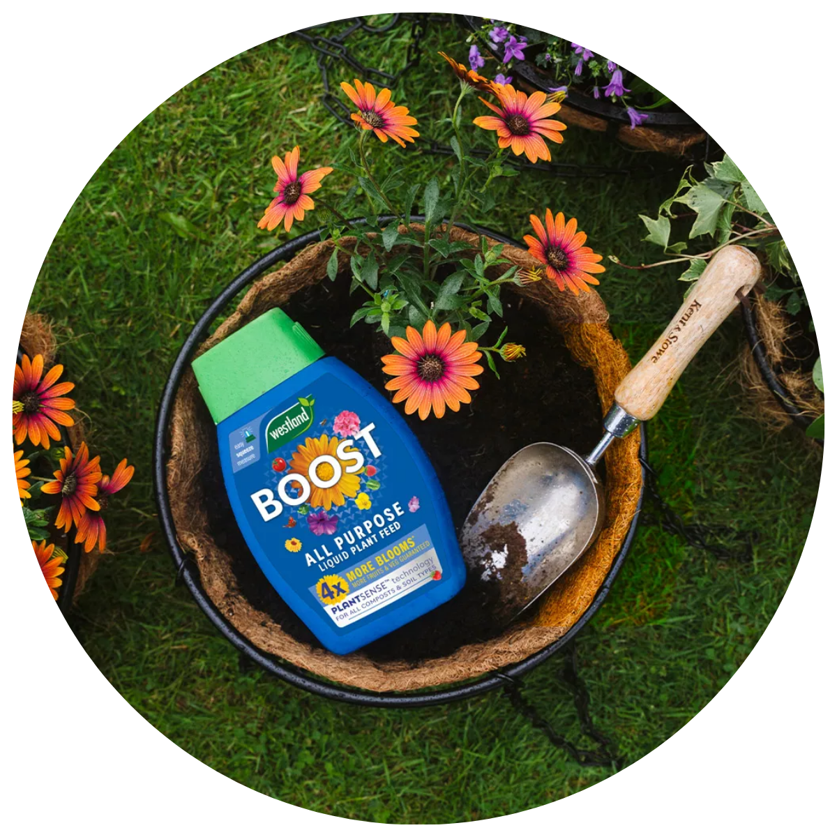 PLANT FOOD