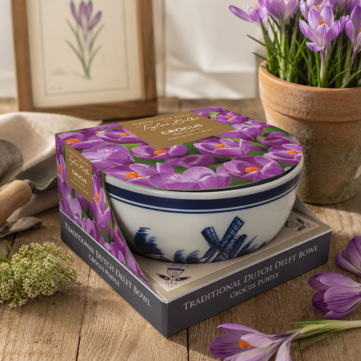 Spring Bulb Gifts