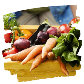 VEGETABLE, SALAD & HERB SEEDS