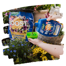 GROW YOUR OWN ESSENTIALS