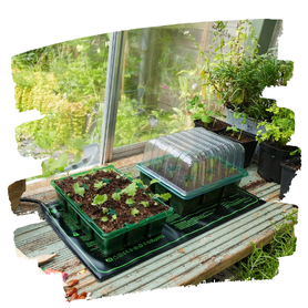 SEED STARTING & PROPAGATION